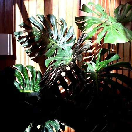 Residencial Moderna Ostello