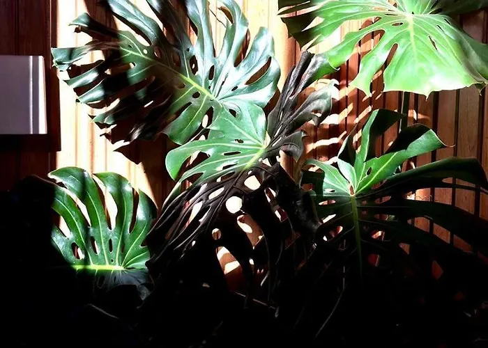 Residencial Moderna Хостел